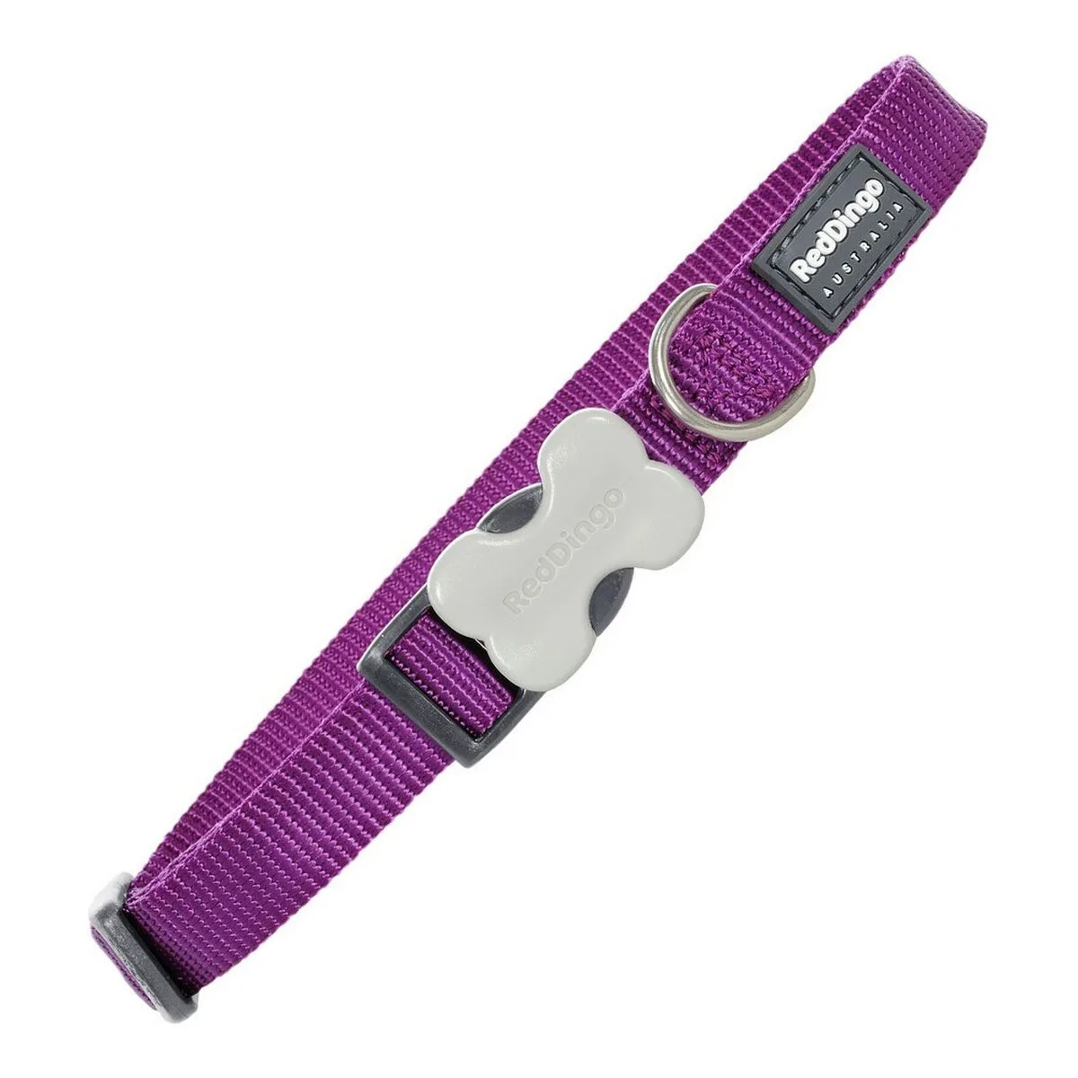 Violetinis šuns antkaklis Red Dingo Bucklebone M, 20 mm, 31–47 cm